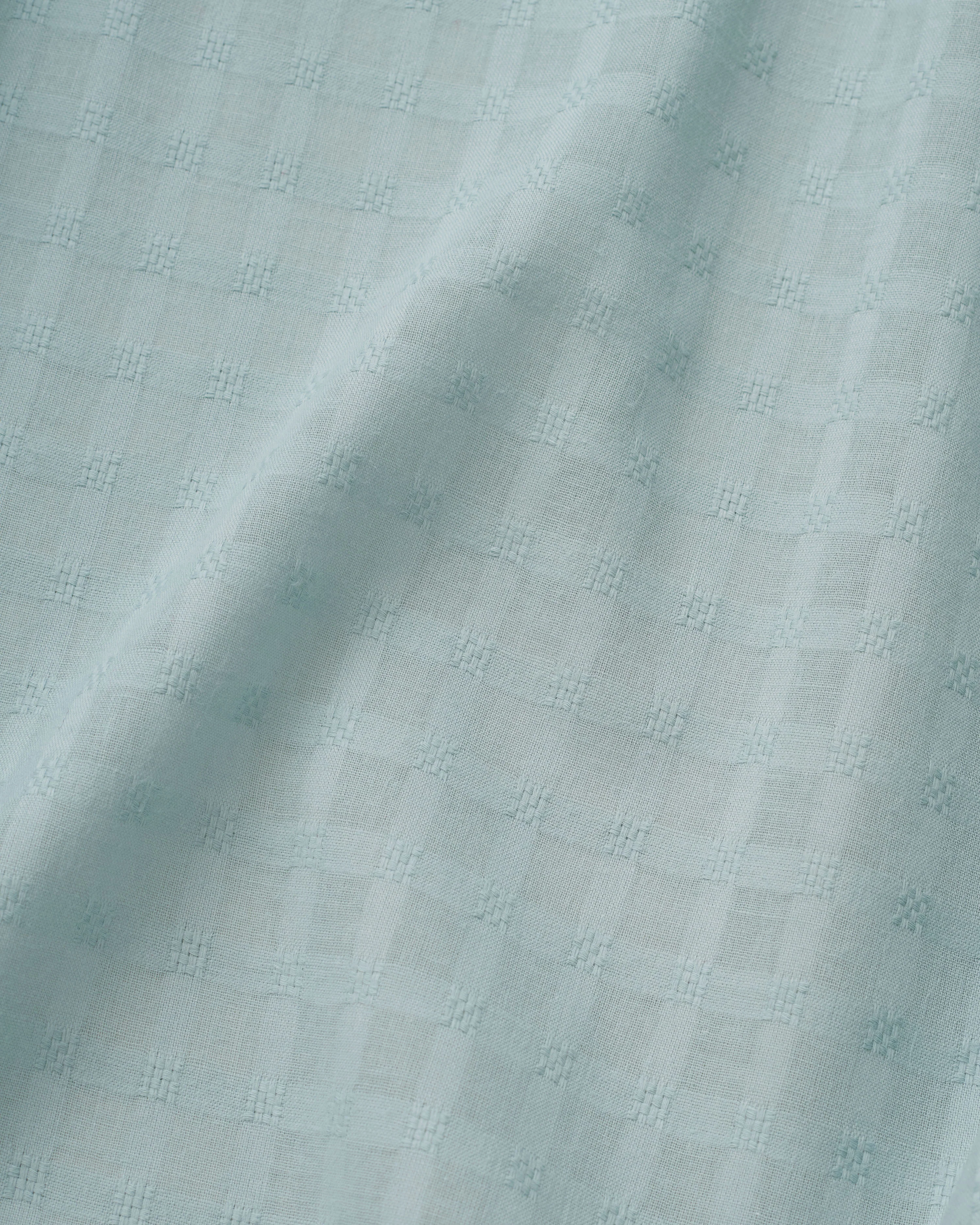 Robin's Egg Grid Check Dobby Cotton